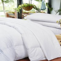 �W�p����