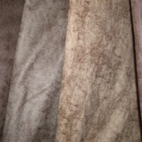 ���z��Ƥ�q