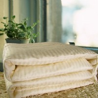 ��Ȼ�Q�z���Ηl��đ