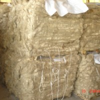 ���޴���Ƥ