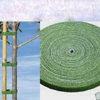 ����ħ�g�N����