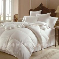 �ޱ� ���{�� ��ⱻ ���� �Ű���