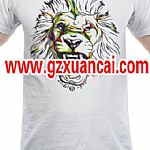 ���aӡ��T��