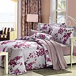 ������Ʒ���w�P