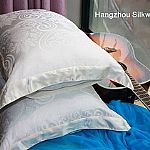 ɣ�Q�z������о