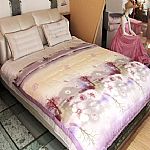 ���w�S���{��