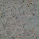 ��洰����