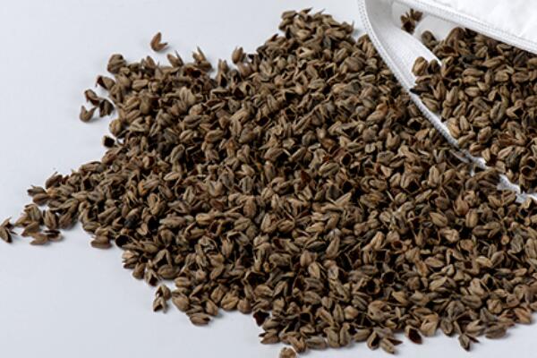 ��������Ȼ���������ѻ��Ҽ��ĸ�ɽ���w������s�ߴ����﷦����