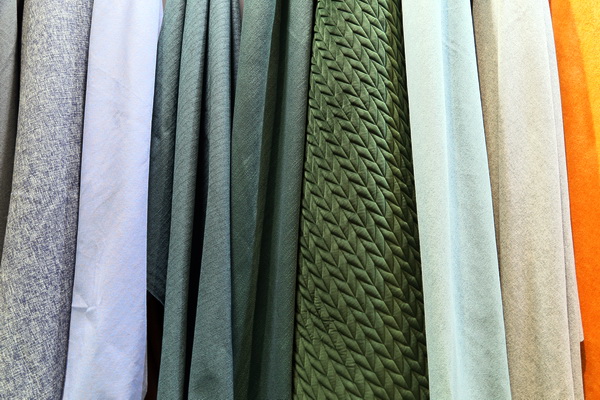 �������25�d��δ��������k��--2019�ﶬ�Ҽ�չ�ڇ�(gu��)�ҕ�(hu��)չ���ģ��Ϻ����A���_Ļ