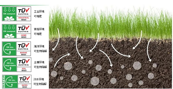 �۽��ɳ��m(x��)�l(f��)չ���c���ṩ��S��Q�������m�����Єӣ�